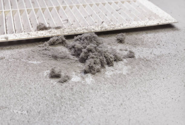 Best HVAC Duct Inspection Services  in Parachute, CO