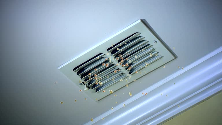 Best Commercial Air Duct Cleaning  in Parachute, CO